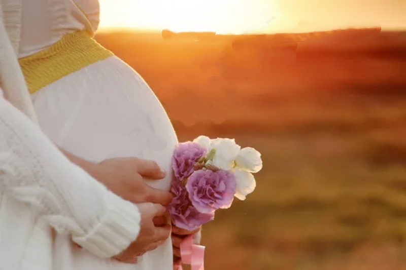 2.心理支持和情感连接